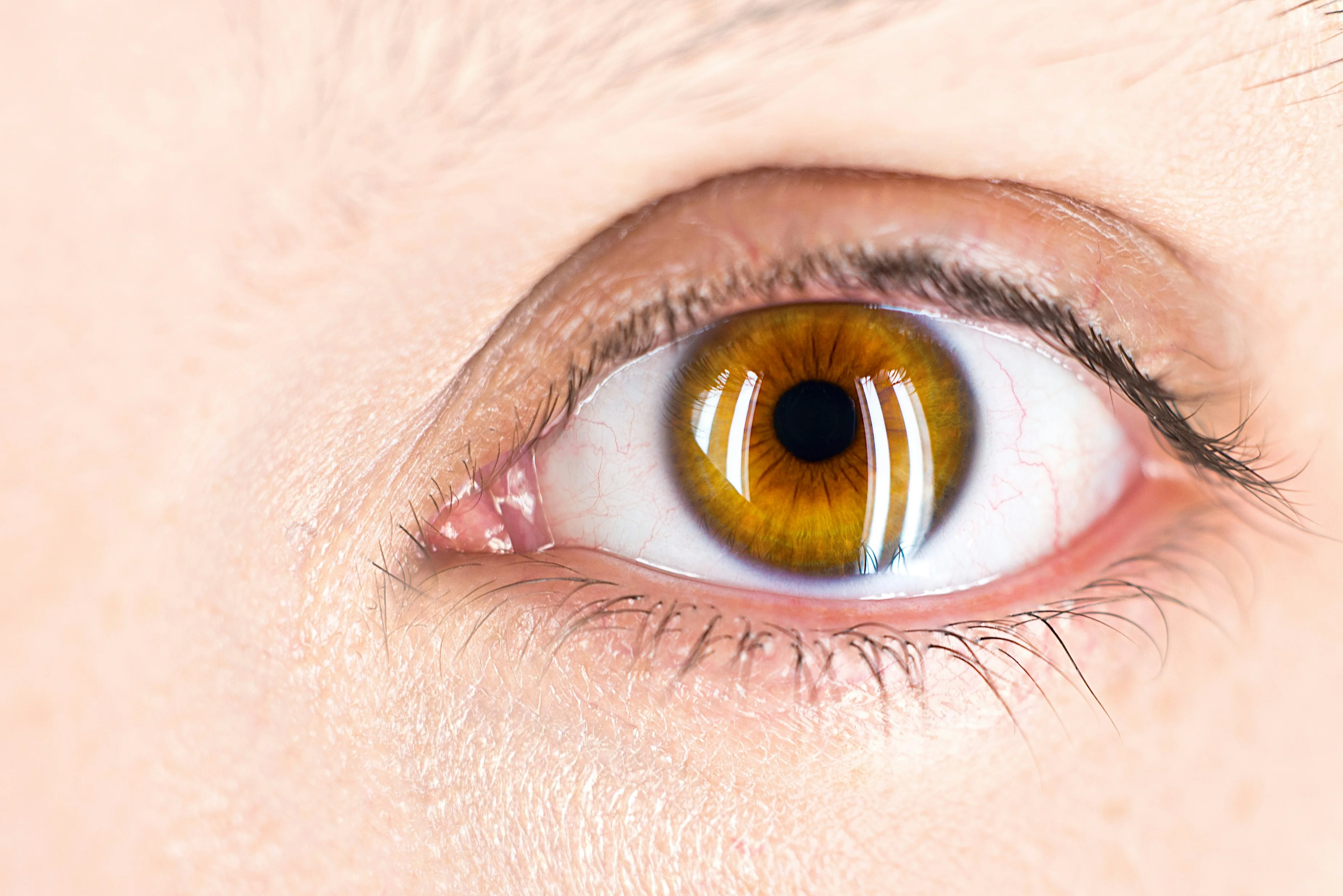 Eye-Tracking-Studien: Wie sie funktionieren